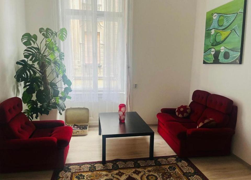 Ejjeli Majom Hostel Βουδαπέστη Εξωτερικό φωτογραφία